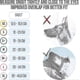 thumbnail image 5 of Soft neoprene muzzle for large dogs with comfortable padding, 5 of 5