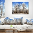 thumbnail image 3 of Designart Beautiful Winter Evening View - Landscape Printed Throw Pillow - 16x16, 3 of 4