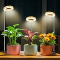 thumbnail image 1 of Grow Light Aokrean 48 LED de espectro completo para plantas de interior, 1 of 7
