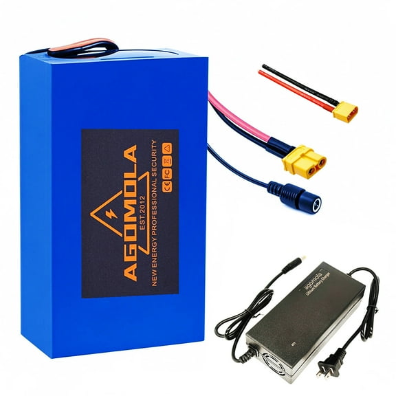 48V Lithium Battery 48V Ebike Battery 20Ah for 100W-1000W Electric Bike Batteries with Charger BMS XT60 Plug