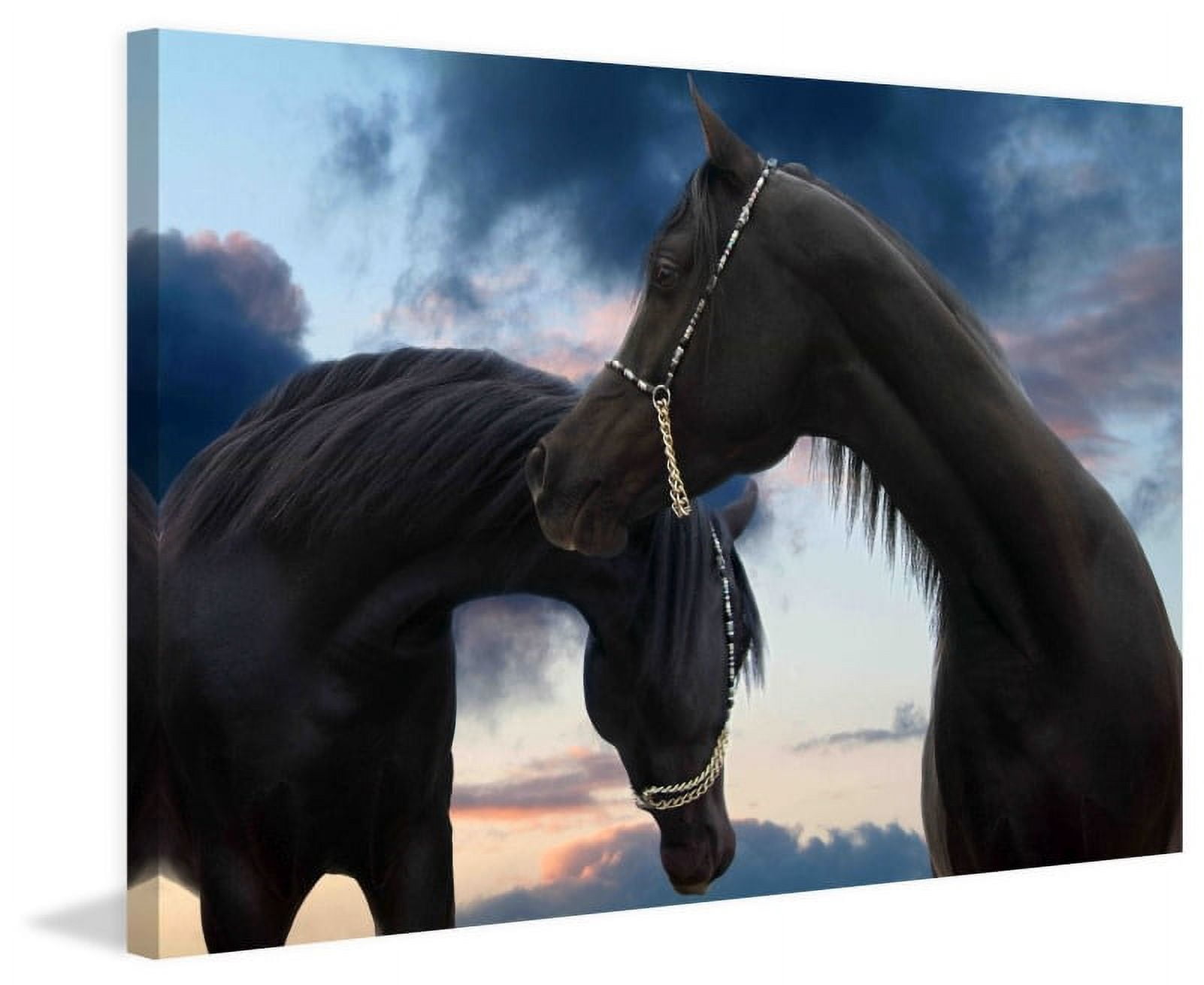 Marmont Hill "Prince of Arabia" by Maggie Dee Painting Print on Canvas
