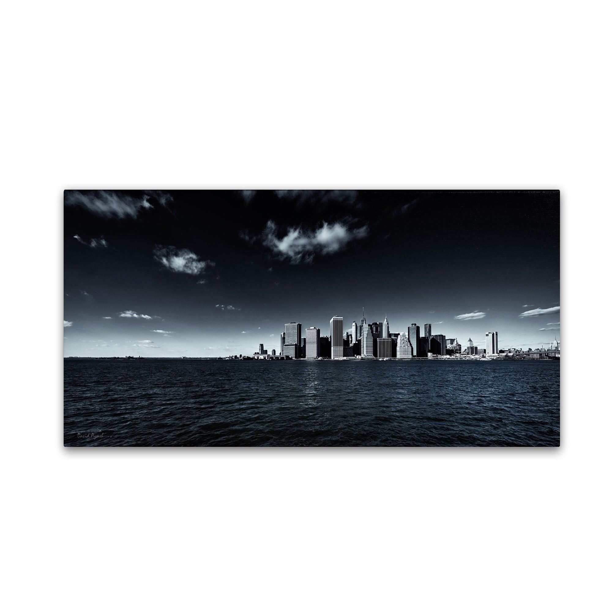 Trademark Fine Art "NYC Financial District and Downtown" Canvas Art by David Ayash