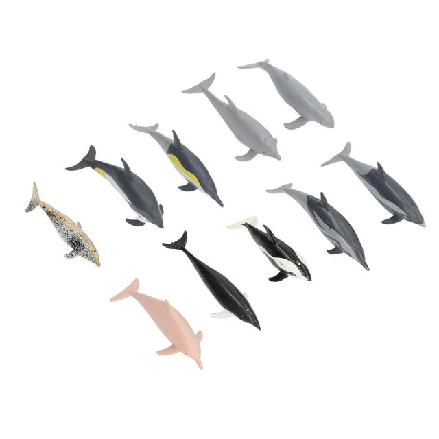 Ocean Animals Toys, Decorative 10Pcs Educational Lifelike Model Ornament Simulate Plastic Static For Science Projects For Boys Girls
