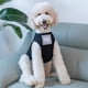 thumbnail image 1 of Chaleco De Verano Para Perros De Razas Grandes | Traje Ligero De Pelo Dorado | Ropa Fresca Para Perros Medianos Y Grandes, 1 of 2