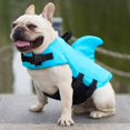 thumbnail image 4 of Chaleco Salvavidas PARA Perros MACHAO Ajustable M Azul, 4 of 5
