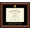 Black, variant on University of California Irvine Henry Samueli School of Engineering Diploma Frame, Document Size 11" x 8.5"
