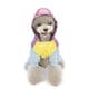 thumbnail image 3 of onlyliua Liquidación Ropa para Mascotas y Abrigo de Invierno de Cuatro Patas., 3 of 5