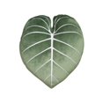 thumbnail image 1 of Philodendron Gloriosum Moody Green Leaf Throw Pillow Almohada decorativa para cama con flores y suculentas, ideal para amantes de las plantas, pulgar verde, amigos y familiares, decoración decorativa, 1 of 5