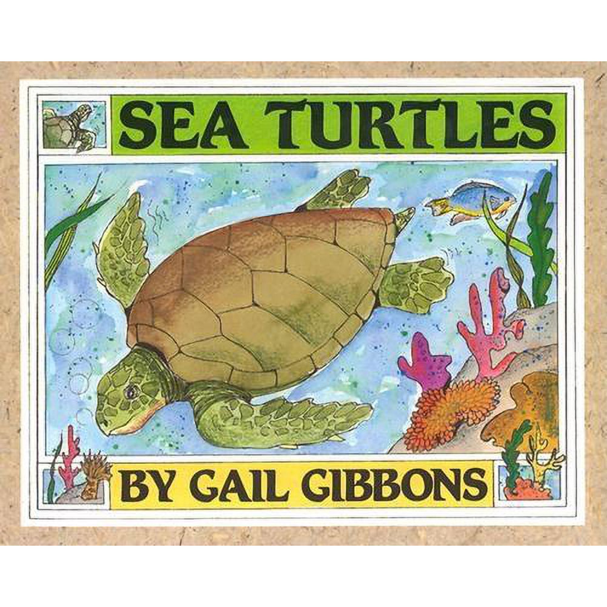 Sea Turtles