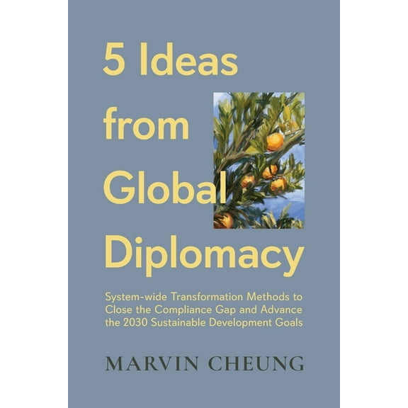 5 Ideas from Global Diplomacy: System-wide Transformation Methods to Close the Compliance Gap and Advance the 2030 Susta, (Paperback)