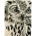 thumbnail image 2 of Parker, Jennifer Paxton 12x14 White Modern Wood Framed Museum Art Print Titled - Charcoal Owl I, 2 of 4
