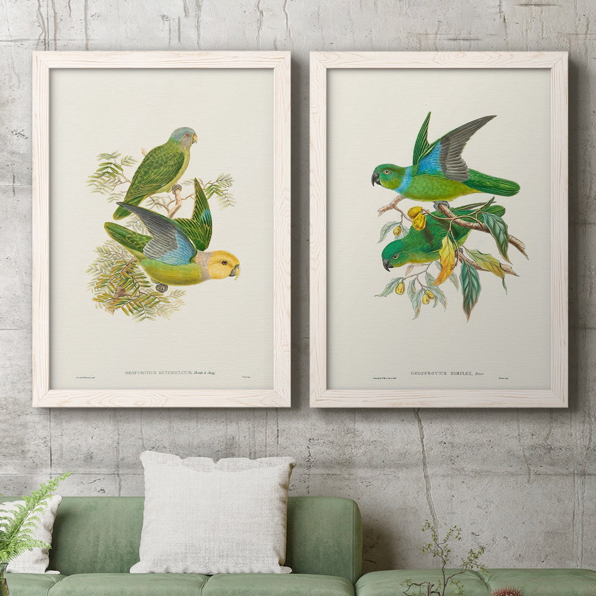 Lime & Cerulean Parrots I - Premium Framed Canvas 2 Piece Set - Ready to Hang