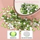 thumbnail image 5 of Uxcell 1600Pcs SS20 Redondo Flatback Cristal 4.6-4.8mm Piedras de Strass Vidrio Verde Claro, 5 of 7