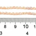 thumbnail image 5 of 1 strand Natural Cultured Freshwater Pearl Beads Strands Rice PeachPuff 2.5~4.5x1.5~2.5mm Hole: 0.5mm 79~81pcs/strand 13.78 inch(35cm), 5 of 5