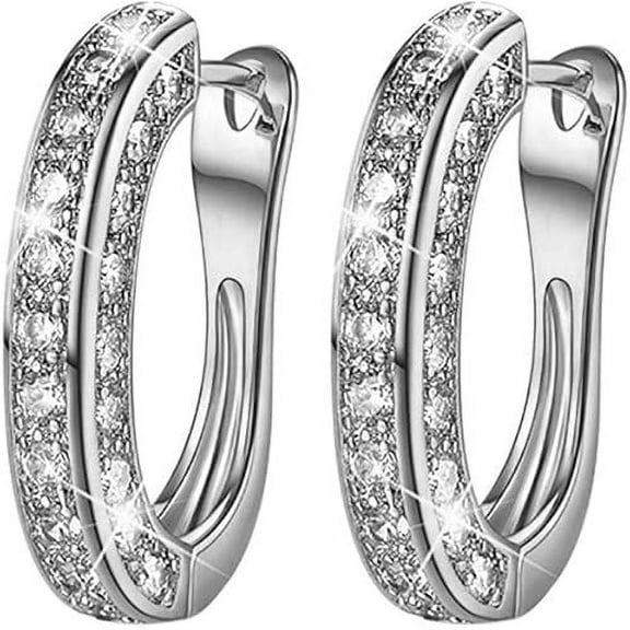 Clearance Earrings for Women Diamond Hoop Luxury Round Diamond Earrings Personality Bright Rhinestone Earrings, White, One Size (New)2 pair