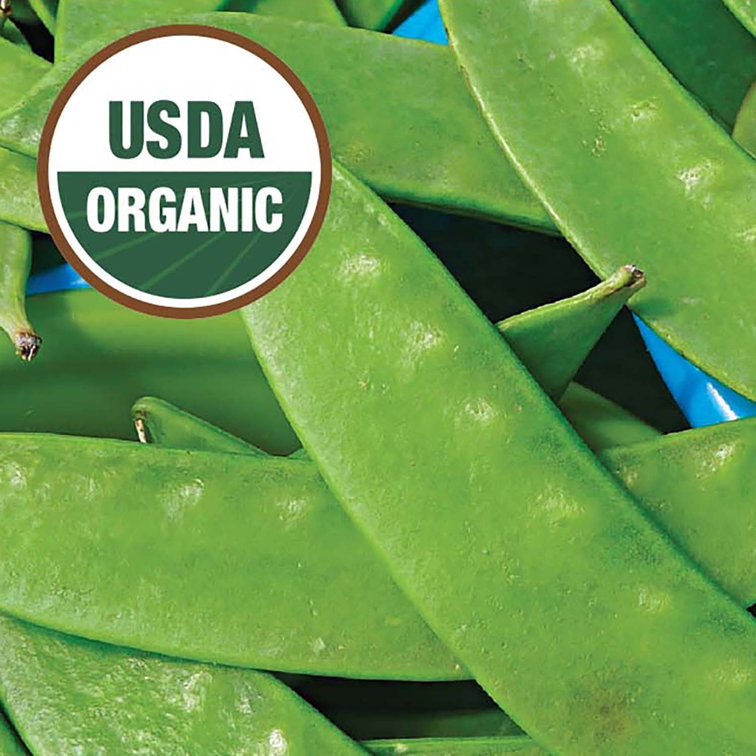 Ferry-Morse Sow Easy 45PCS Pea Melting Sugar Snow Vegetable Plant Seed Full Sun