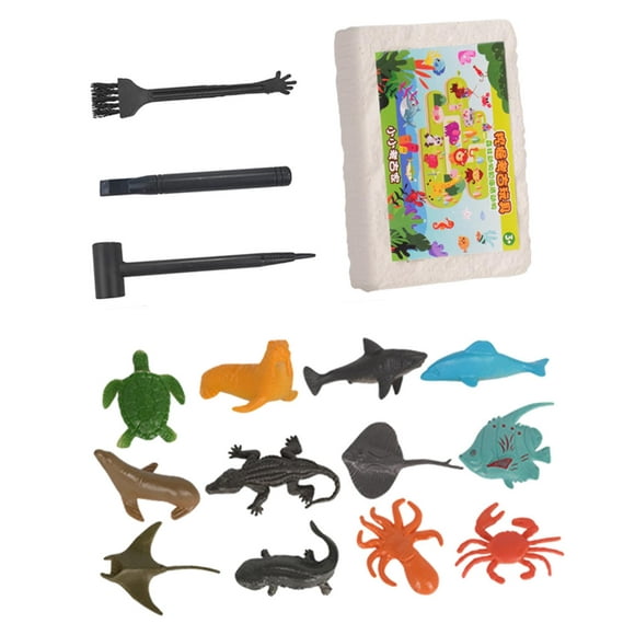 Archaeology Discovery Excavation Kits Science Learning Kits for Kids Children Sea Animals