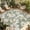 Sage Green White, variant on Sage Green Spring Floral Outdoor Rug for Patio/Deck/Porch, Non-Slip Large Area Rug 4 x 6 Ft, Summer Botanical Flower Indoor Outdoor Rugs Washable Area Rugs, Reversible Camping Rug Carpet Runner