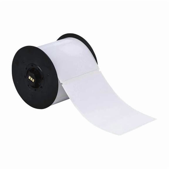 Brady Label, White, Labels/Roll: 175 B30-25-595-BLNKWT