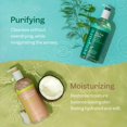 thumbnail image 2 of Gel de baño RENPURE con aceite de menta y árbol de té y coco con vitamina E, 720 ml, 2 of 7
