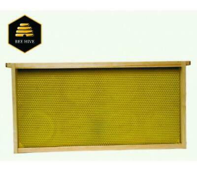 D Little Giant  Deep Hive Frames  For Bees 9-1/4 in 