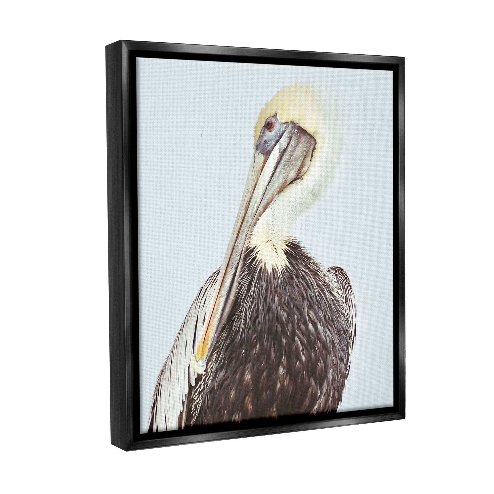 Stupell Industries Preening Pelican Photography Animals & Insects Painting Black Floater Framed Canvas Art Print Wall Art, 17 x 21