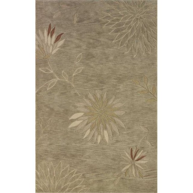 Dalyn SD301AL5X8 Studio SD301 Aloe Tapis 5 Pi. X7 Pi. 9 Po.