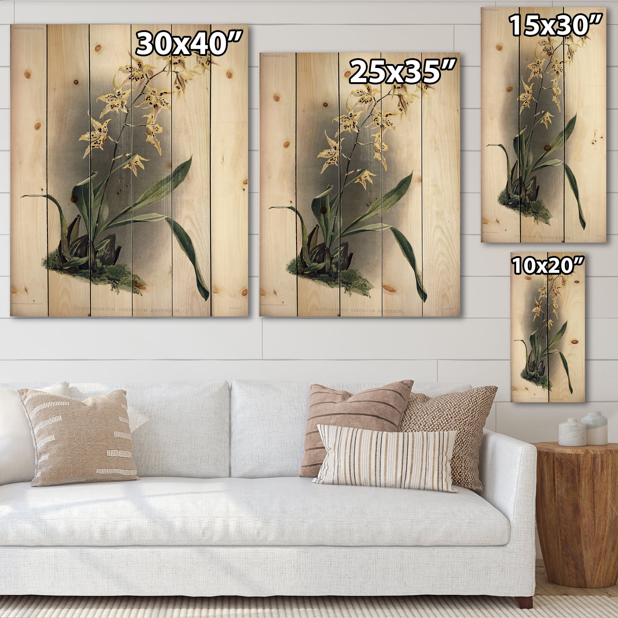 Designart 'Ancient Orchid Flower' Traditional Print on Natural Pine Wood