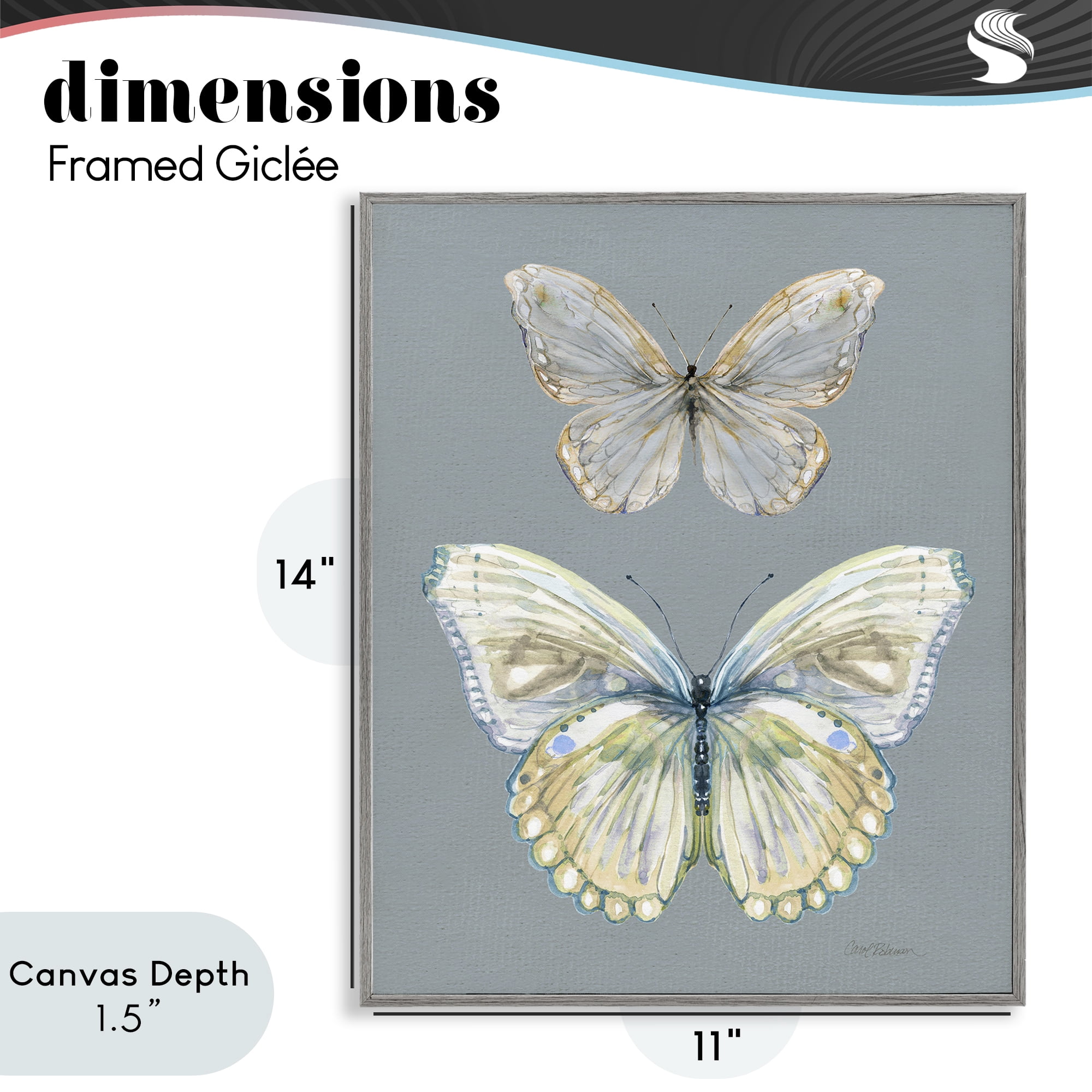 Stupell Industries Butterfly Pair Study Gray Framed Giclee Art, design by Carol Robinson