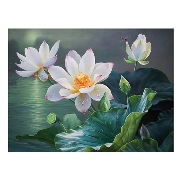 Kits Punto Cruz Ygjytge 50x40cm Estampada Lienzo Costura DIY 11CT