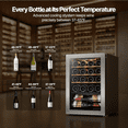 thumbnail image 4 of Ca'Lefort Wine Cooler Refrigerator, 2.2 cu.ft. Mini Wine Fridge Freestanding Wine Chiller with Double-Layer Glass Door for Home/Office, 4 of 11