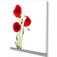 thumbnail image 1 of Designart - Isolated Red Poppy Flowers - Floral Canvas Art Print, 1 of 1