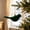 Army Green, variant on Ltvvegg 5" Bird Shaped Christmas Ornaments, Velvet Christmas Tree Decorations Hanging Christmas Ornament for Xmas Tree Pendant, Green