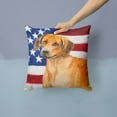 thumbnail image 2 of Carolines Treasures BB9676PW1414 Rhodesian Ridgeback Patriotic Fabric Decorative Pillow  14Hx14W multicolor, 2 of 4