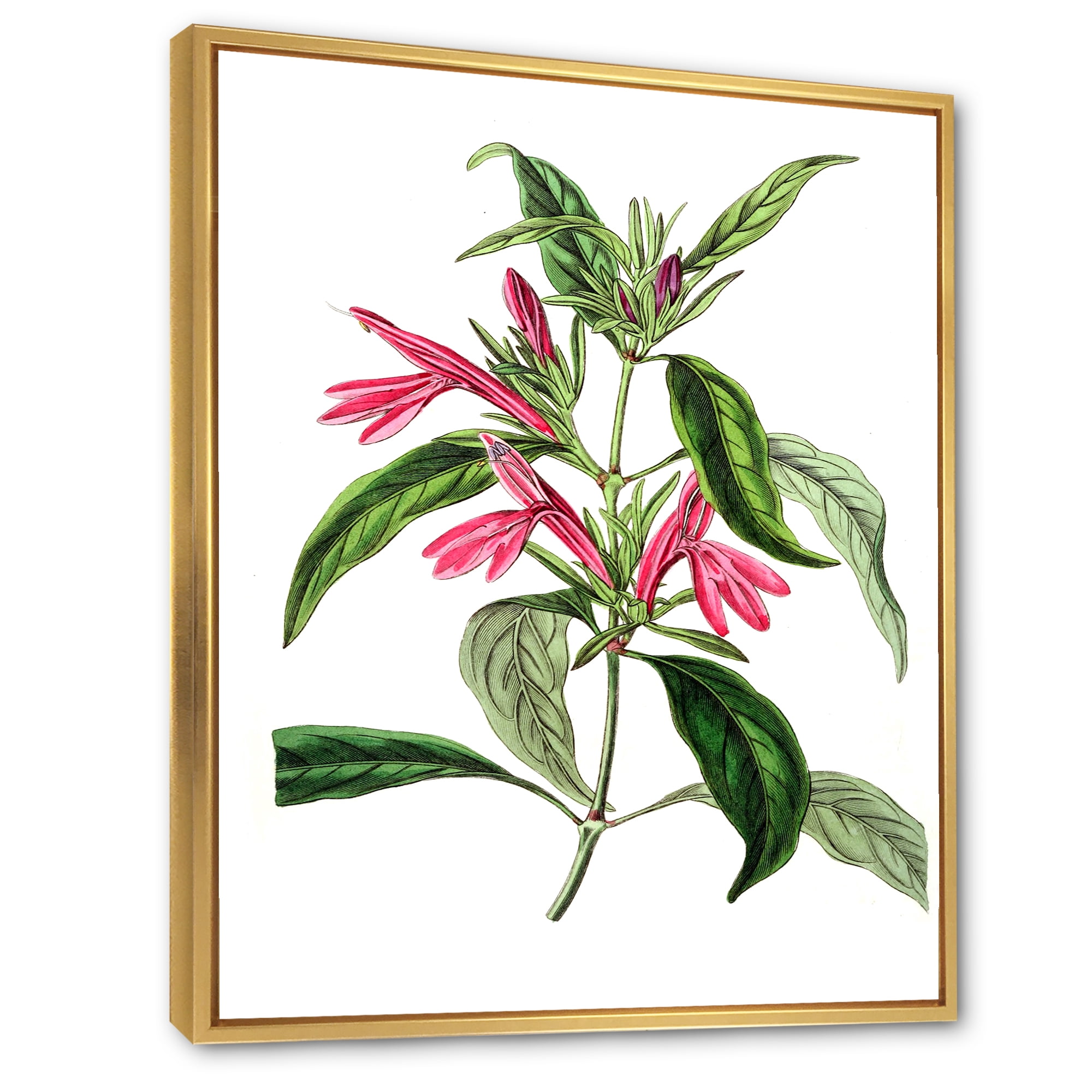 Designart 'Ancient American Flora VII' Traditional Framed Canvas Wall Art Print