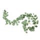 thumbnail image 1 of Cateissary Guirnalda de eucalipto verde Artificial de 2M, hojas de vid, plantas artificiales de ratán falso, de hiedra, decoración de pared, guirnaldas 2ms verde Cateissary HA002561-01, 1 of 1