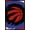 Black Framed Version, variant on NBA Toronto Raptors - Logo 20 Wall Poster, 22.375" x 34", Framed