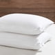thumbnail image 1 of Juego de 2 Almohadas Downluxe Estándar 51x66 cm Soporte Suave, 1 of 6