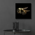 thumbnail image 6 of Epic Art 'Fuzzy Buzzy' by Epic Portfolio Acrylic Glass Wall Art, 12"x12", 6 of 8
