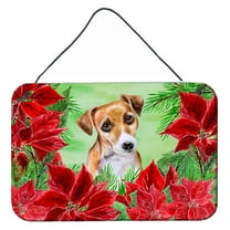Carolines Treasures CK1360DS812 Jack Russell Terrier 2 Poinsettas Wall or Door Hanging Prints  8x12 multicolor
