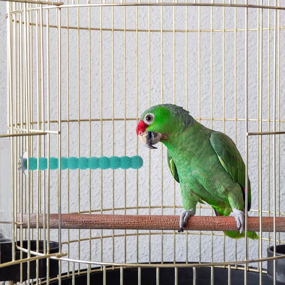 KAKOWELY Bird Beak Grinding Chew Sticks Random Color 1 Set 0.5x5.5in