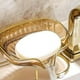 thumbnail image 5 of Fiudx Jabonera Autodrenante, Soporte de Acero Inoxidable Chapado En Oro, Diseño Fácil de Limpiar, Ideal para Baño y Cocina, Material Plástico Duradero, Tamaño Compacto (15 X 10 X 7 Cm), Base Antidesl, 5 of 7