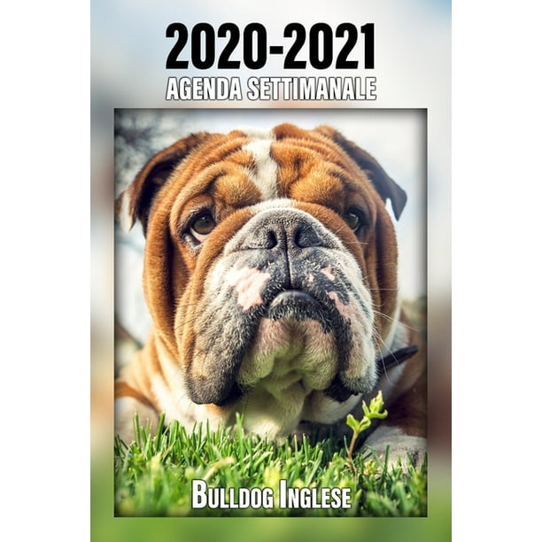 2020 2021 Agenda Settimanale Bulldog Inglese 221 Pagine Dimensioni Din A5 Pianificatore 24 Mesi Due Pagine Per Settimana Calendario Diario Cane In Italiano Paperback Walmart Com Walmart Com calendario bulldog inglese 2021
