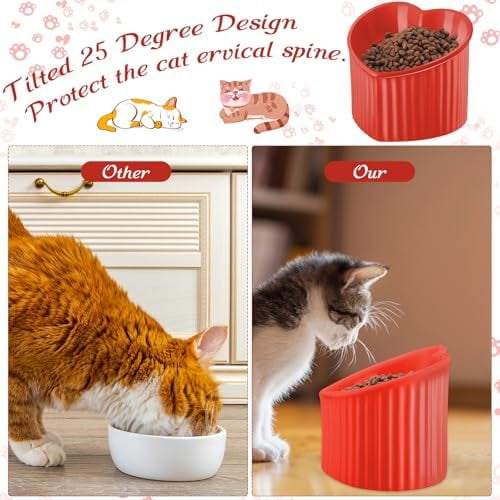 2 Pcs Ceramic Elevated Cat Bowls Tilted Elevated Raised Pet Bowls Anti Vomit Cat Dish for Indoor Stress Free Water Dish Feeder for Puppies, Heart Shaped (Red, Green)