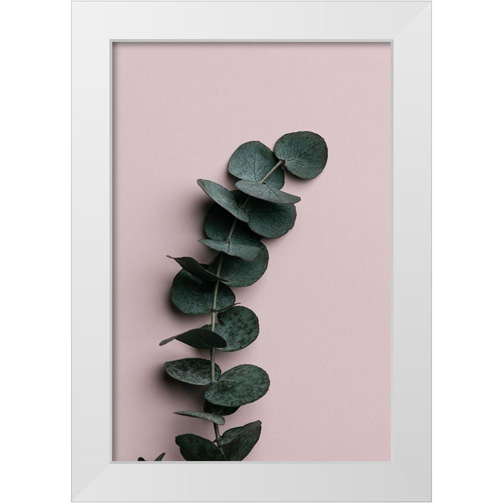 Artographie Studio 23x32 White Modern Wood Framed Museum Art Print Titled - Eucalyptus Pink No 01