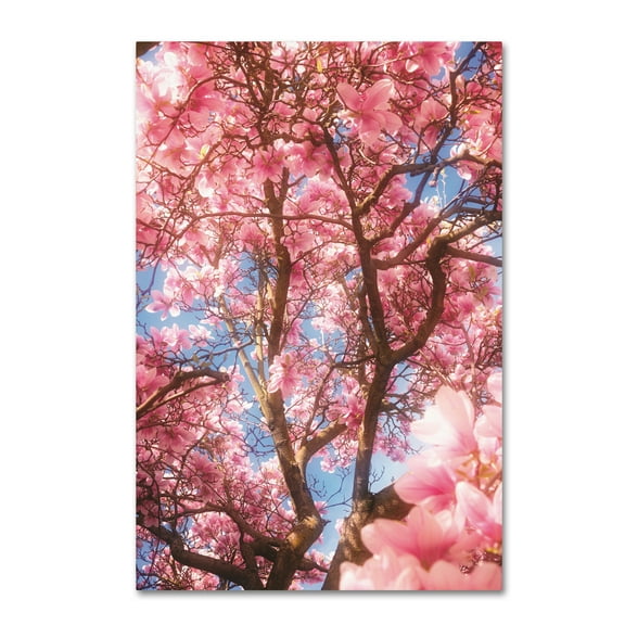 Trademark Fine Art 'Spring Perfume' Canvas Art by Philippe Sainte-Laudy