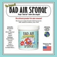 Bad Air Sponge neutralizes and absorbs odors 14oz, 14 Ounce (Pack of 5