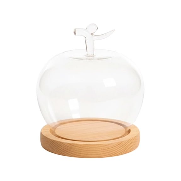 Glass Dome,Glass Cloche Dome Clear Globe Display Dome with Wood Base ,Glass Display Case for Plant, Flower ,Stone ,Models ,Butterfly Display Home Party Decoration,3.54x5.5inch(Yellow)