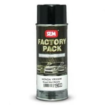 SEM Products 19013 Factory Pack- Silver Frost Ts- 16 Oz.Aerosol