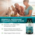 thumbnail image 3 of Swanson NAC N-Acetyl Cysteine, Helps Replenish Glutathione To Support Liver & Cellular Health, 100 Capsules (3-Pack), 3 of 7